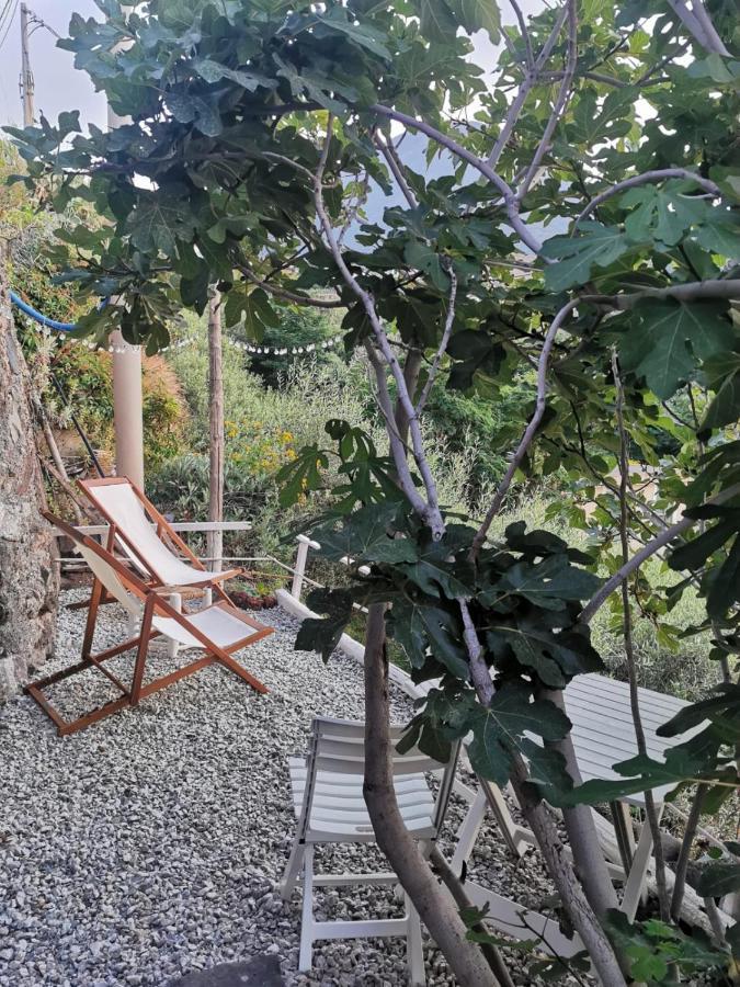 Casa Vacanze Lorenzo Villa Malfa  Exterior foto
